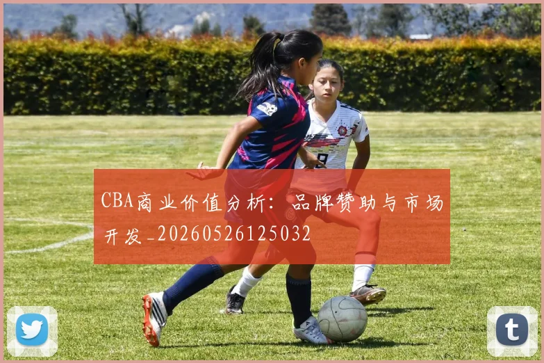 CBA商业价值分析:品牌赞助与市场开发_20260526125032